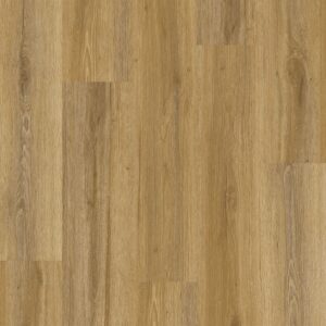 Dreamweaver Carpet Legendary Prodigy Carpet R016_6008