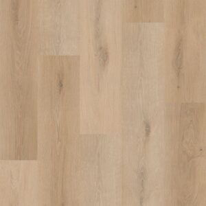 Dreamweaver Carpet Flourish Emerge Carpet R017_7008