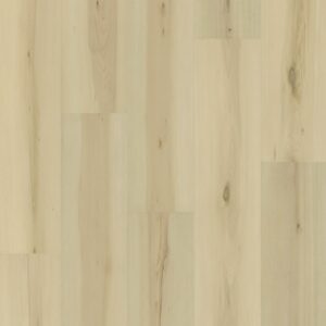 Dreamweaver Carpet Preference Manchester Carpet R018_8010