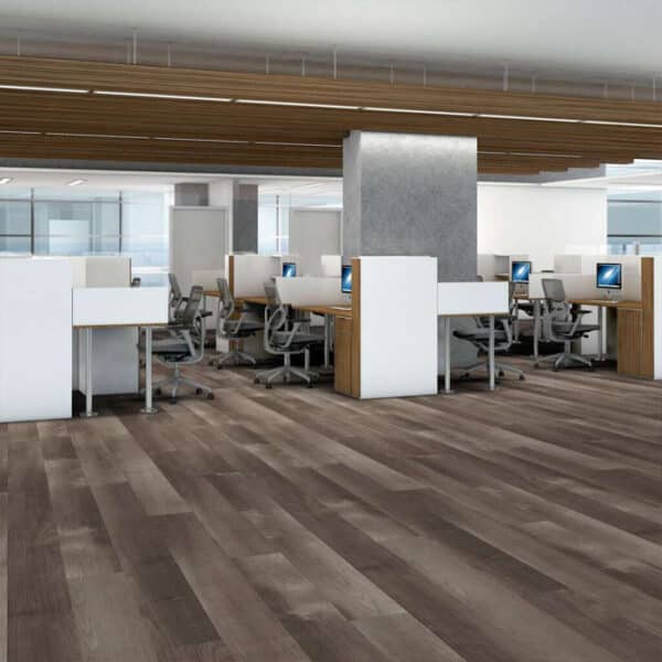 Shaw 5th and Main Symbiotic 20 Mesa - Image 2