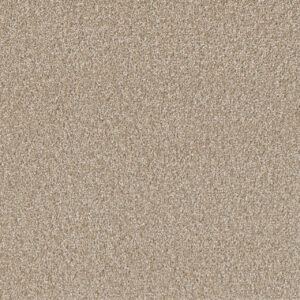 Dreamweaver Carpet SP251 Cameo Carpet SP251_174