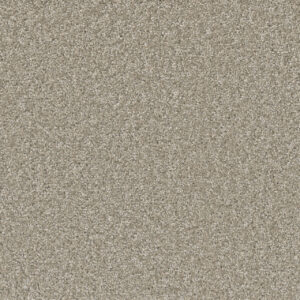 Dreamweaver Carpet SP251 Clam Shell Carpet SP251_182