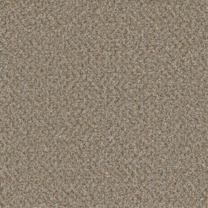 Dreamweaver Carpet SP251 Siesta Carpet SP251_2068