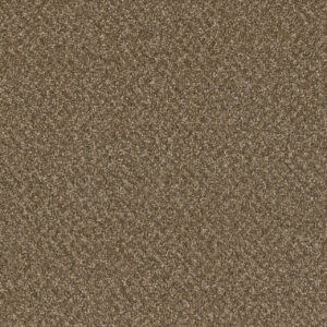 Dreamweaver Carpet SP251 Mocha Beige Carpet SP251_2351