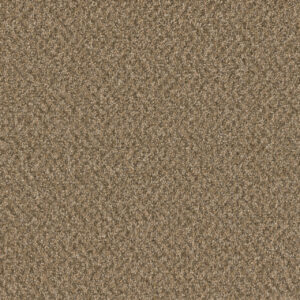 Dreamweaver Carpet SP251 Aged Leather Carpet SP251_2418