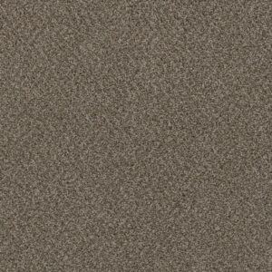 Dreamweaver Carpet SP251 Desert Jasper Carpet SP251_339