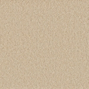 Dreamweaver Carpet SP251 Classic Ivory Carpet SP251_4193