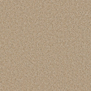 Dreamweaver Carpet SP251 Frosted Clay Carpet SP251_4522