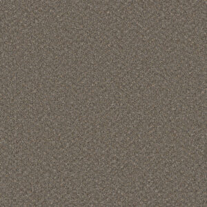 Dreamweaver Carpet SP251 Field Slate Carpet SP251_477