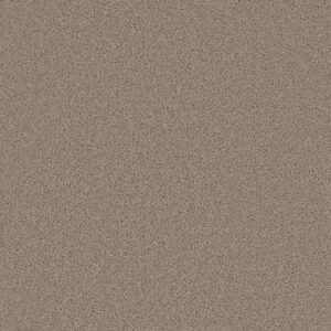 Dreamweaver Carpet SP251 Flax Beige Carpet SP251_535