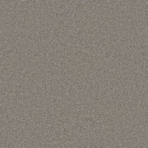 Dreamweaver Carpet SP251 Silver Birch Carpet SP251_800