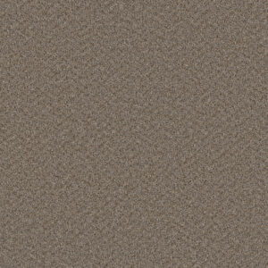 Dreamweaver Carpet SP251 Cinder Carpet SP251_835