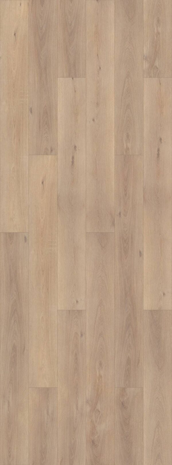 COREtec Vinyl PRo Enhanced VV488 Ravenswood Oak 2091A_VV488 - Image 2