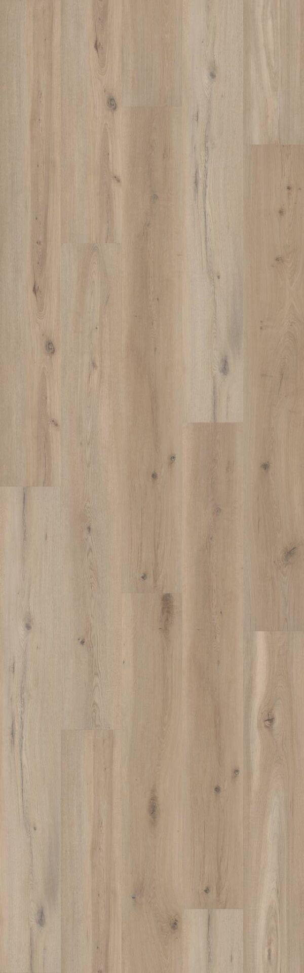 COREtec Vinyl Originals Premium VV810 Sea Salt Oak VV810-05028 - Rogers ...