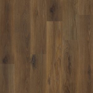 Dreamweaver Carpet Advantage Autumn Carpet WP020_2001