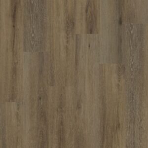 Dreamweaver Carpet Advantage Harmony Grove Carpet WP020_2008