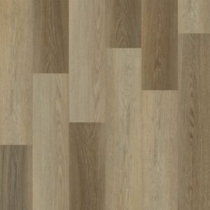 Dreamweaver Carpet Advantage Hamlet Carpet WP020_2012