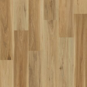 Dreamweaver Carpet Elevate Sonesta Carpet WP021_2101