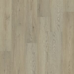 Dreamweaver Carpet Elevate Vista Carpet WP021_2103