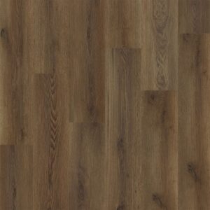 Dreamweaver Carpet Elevate Grand Oak Carpet WP021_2110