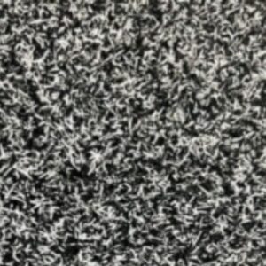 Value Carpets Grass Special White Black