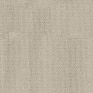 Anderson Tuftex Carpet Casual Life Brushed Ivory 00111_Z6812