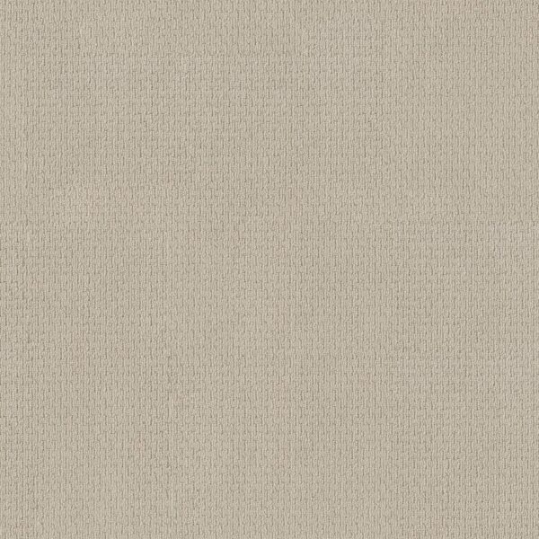 Anderson Tuftex Carpet Casual Life Brushed Ivory 00111_Z6812