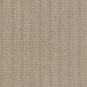 Anderson Tuftex Carpet Casual Life Chic Cream 00112_Z6812
