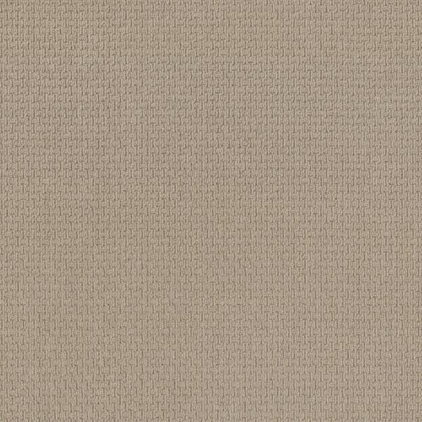 Anderson Tuftex Carpet Casual Life Chic Cream 00112_Z6812