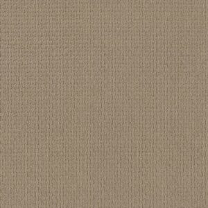 Anderson Tuftex Carpet Casual Life Sandcastle 00113_Z6812