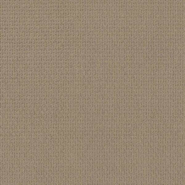 Anderson Tuftex Carpet Casual Life Sandcastle 00113_Z6812