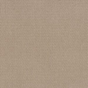 Anderson Tuftex Carpet Casual Life Ceramic Glaze 00171_Z6812