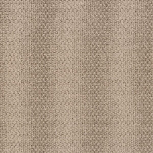 Anderson Tuftex Carpet Casual Life Ceramic Glaze 00171_Z6812