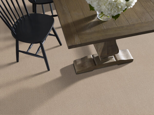 Anderson Tuftex Carpet Casual Life Ceramic Glaze 00171_Z6812 - Image 2