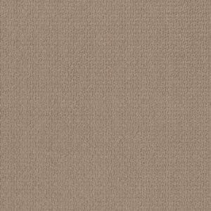 Anderson Tuftex Carpet Casual Life Baked Beige 00173_Z6812