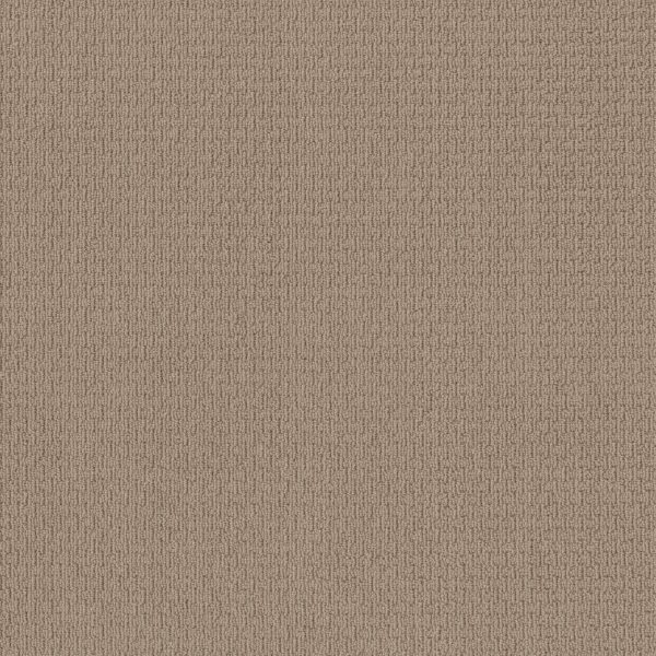 Anderson Tuftex Carpet Casual Life Baked Beige 00173_Z6812