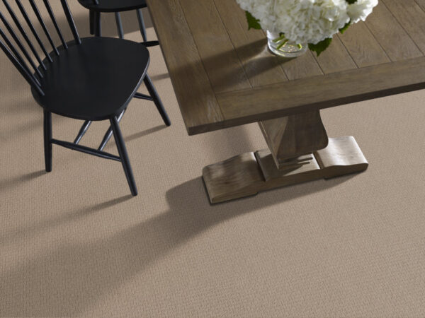 Anderson Tuftex Carpet Casual Life Baked Beige 00173_Z6812 - Image 2