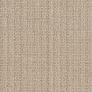 Anderson Tuftex Carpet Casual Life Dream Dust 00220_Z6812