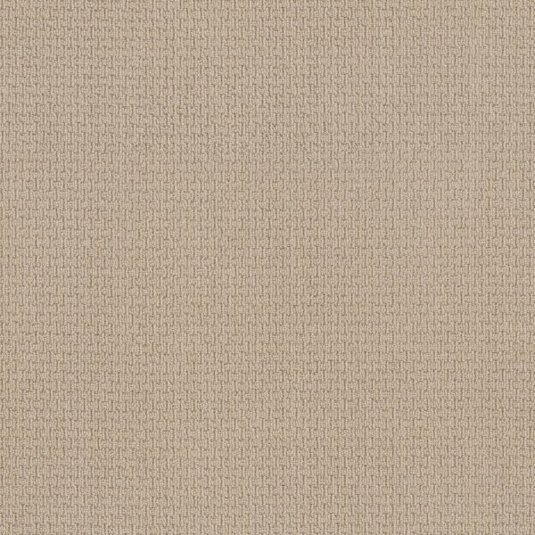 Anderson Tuftex Carpet Casual Life Dream Dust 00220_Z6812