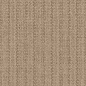 Anderson Tuftex Carpet Casual Life Chamois 00221_Z6812