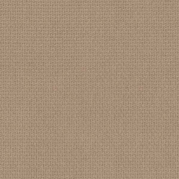 Anderson Tuftex Carpet Casual Life Chamois 00221_Z6812