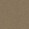 Anderson Tuftex Carpet Casual Life Tiger Eye 00228_Z6812