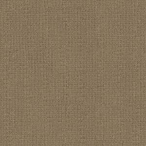 Anderson Tuftex Carpet Casual Life Tiger Eye 00228_Z6812