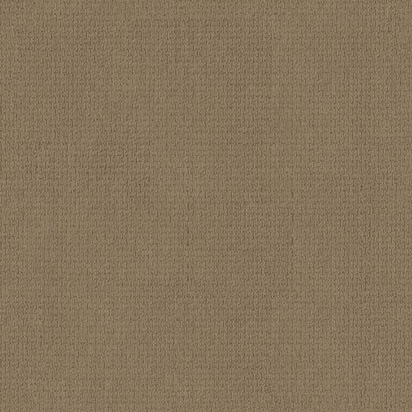 Anderson Tuftex Carpet Casual Life Tiger Eye 00228_Z6812