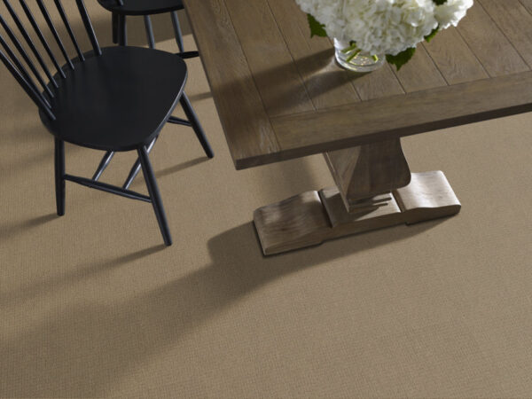 Anderson Tuftex Carpet Casual Life Tiger Eye 00228_Z6812 - Image 2