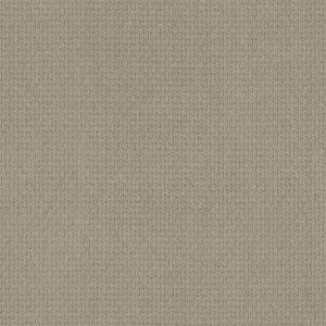 Anderson Tuftex Carpet Casual Life Frosted Ivy 00352_Z6812