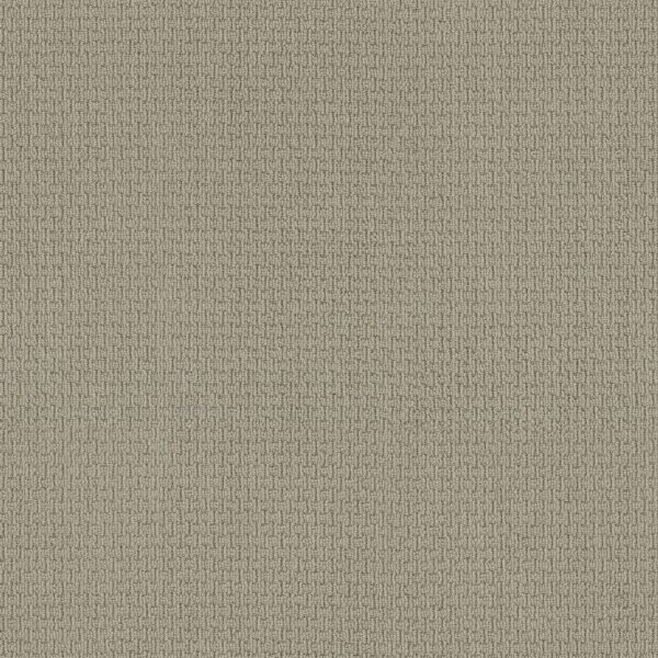 Anderson Tuftex Carpet Casual Life Frosted Ivy 00352_Z6812