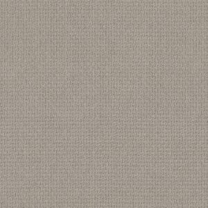 Anderson Tuftex Carpet Casual Life Cement 00512_Z6812