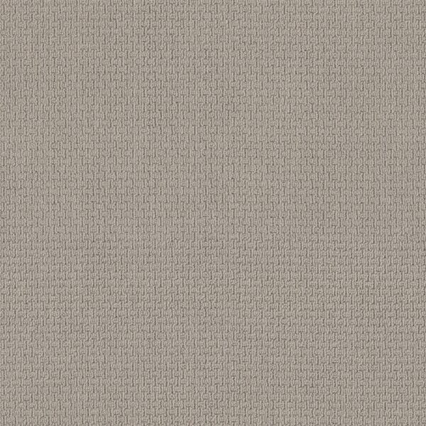 Anderson Tuftex Carpet Casual Life Cement 00512_Z6812