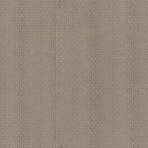 Anderson Tuftex Carpet Casual Life Oyster 00513_Z6812